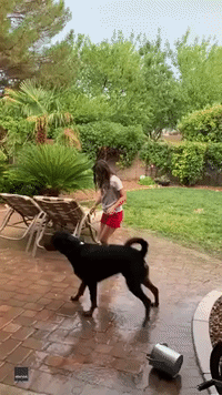 Nevada Girl and Dog Celebrate First Rain in Months