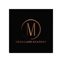 Brand Lashes Sticker by Mega Lash Academy