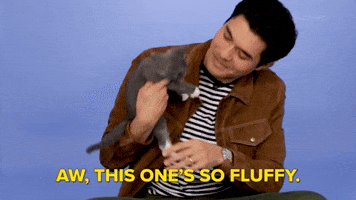 So Fluffy
