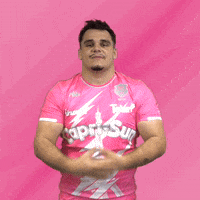 Top 14 Bird GIF by Stade Français Paris