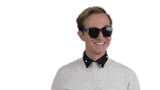 Sunglasses Steenwijk Sticker by MissGiethoorn