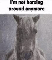 Sad Horse GIF