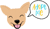 Dog Adopt Sticker by HeARTs Speak