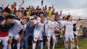 South Carolina Soccer GIF by Charleston Battery