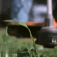 Garden Grass GIF by Spektr