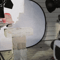 Garden Grass GIF by Spektr