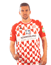 Bundesliga Celebrating Sticker by 1. FSV Mainz 05