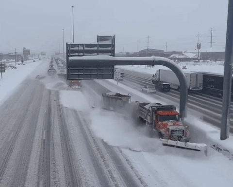 Snow Blizzard GIF by Storyful