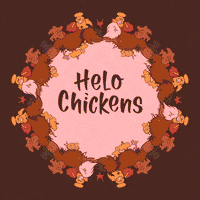 Hello Chickens GIF by Gallery.fm