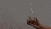 bottle stick GIF