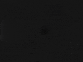 sharon jones boogie GIF by Sharon Jones & The Dap-Kings