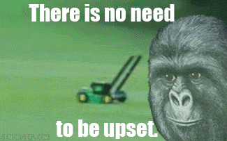 there is no need to be upset GIF by Cheezburger