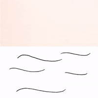 Shark Jaws GIF by cintascotch