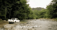 viceland GIF by JUNGLETOWN