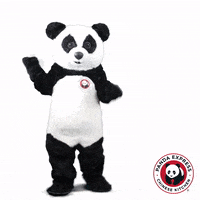 Happy Panda Bear GIF by Panda Express