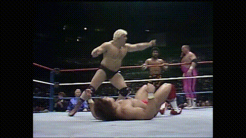 Integralist giphyupload wwf survivor series 1987 GIF