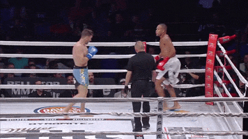 raymond daniels kick GIF by Bellator