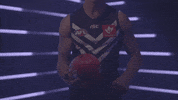foreverfreo fyfe GIF by Fremantle Dockers