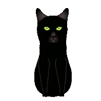 Black Cat Sticker