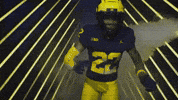 Go Blue Michigan Football GIF by Michigan Athletics