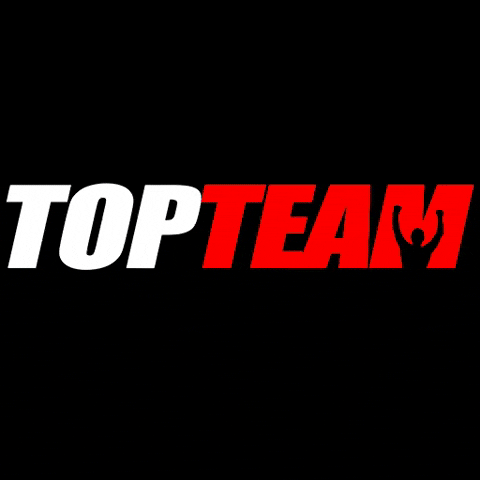 topteamff topteam GIF