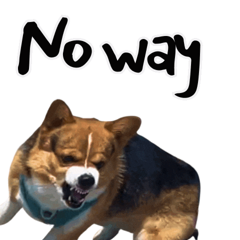 Corgi No Sticker