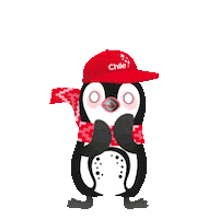 Chile Chiri Sticker by ProChile MKT