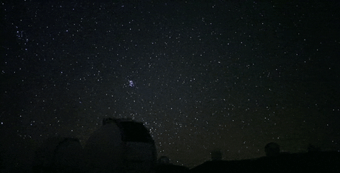 lornibaby giphyupload GIF