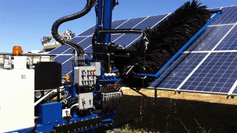 jahnvito giphygifmaker GIF