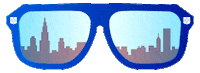 Depaul University Sunglasses Sticker by DePaulU