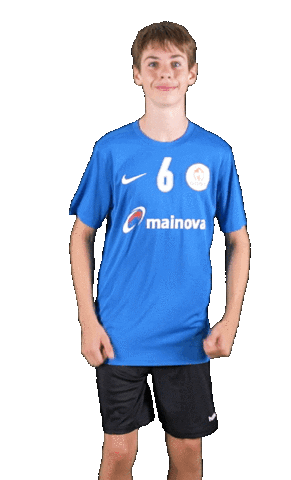 Mc Sticker by THE DOGS - TSV Pfungstadt Handball