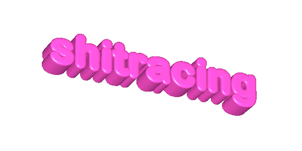 Shitracing Sticker