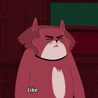 Cats Reaction GIF by Kitty Is Not A Cat