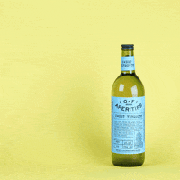 Weekend Vibes Aperitif GIF by Lo-Fi Aperitifs