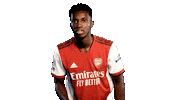 Celebrate London Sticker by Arsenal