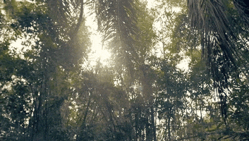 cbs cbs sealteam sealteamcbs GIF