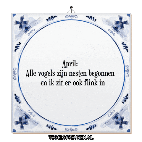 Nl Wijsheid Sticker by Tegelspreuken.nl