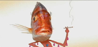 smoke fish GIF