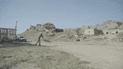 ver formula 1 GIF by Red Bull Racing