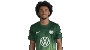 France No Sticker by VfL Wolfsburg