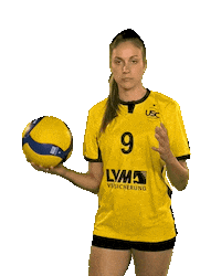 USC_Muenster ball volleyball vbl usc Sticker