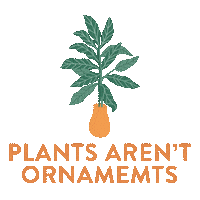 SaffronsGarden plant plants saffron plantmom Sticker