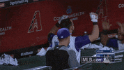 arizona diamondbacks hug GIF by MLB