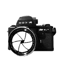camera STICKER