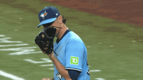 Blue Jays Baseball GIF by Toronto Blue Jays