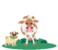 MittlererSchwarzwald dog jumping emma pup Sticker