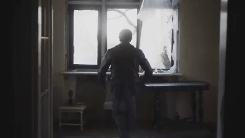 season 1 episode 3 GIF by Comrade Detective