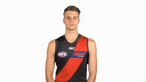 essendonfc giphyupload dons bombers ridley GIF
