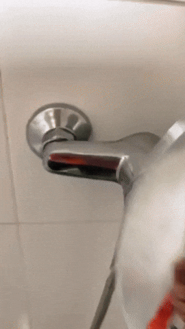 tobysanchez99e8b79e864547e88d1edcc56848090d giphysubir GIF