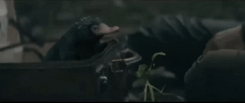 Lovenonymously  GIF
